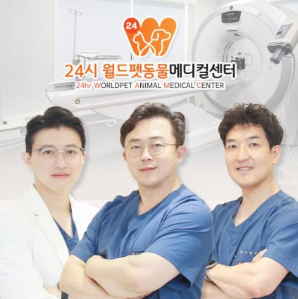 병원 이미지