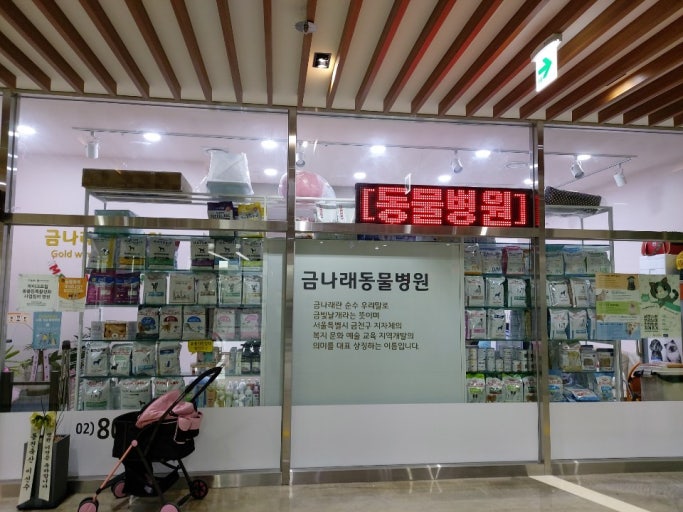 병원 이미지