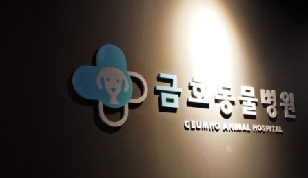 병원 이미지