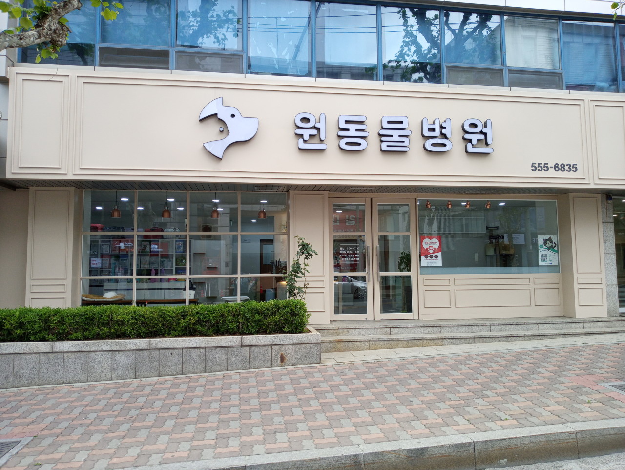 병원 이미지
