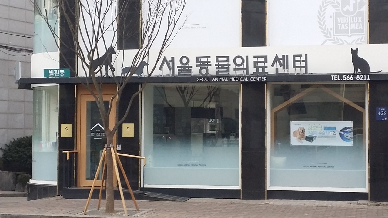 병원 이미지