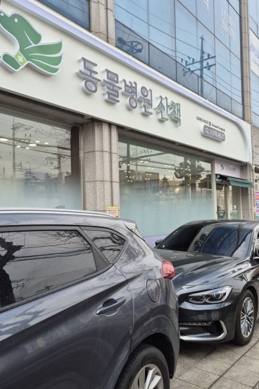 병원 이미지